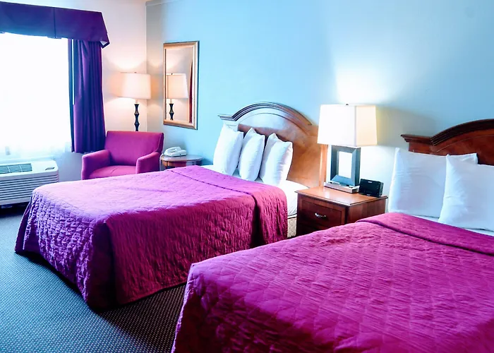And Conference Center Hotel 2*